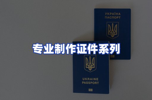 专业制作证件系列